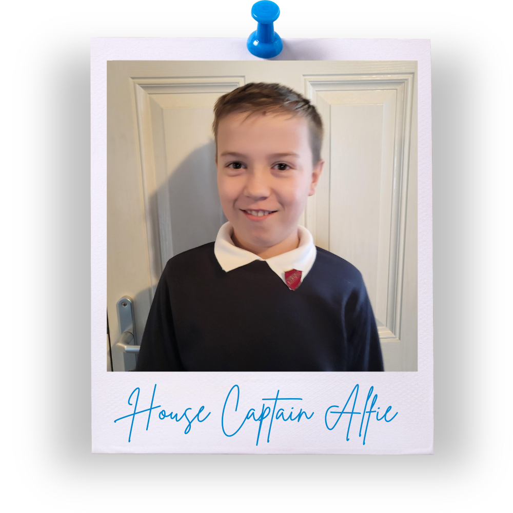 House Captain Alfie